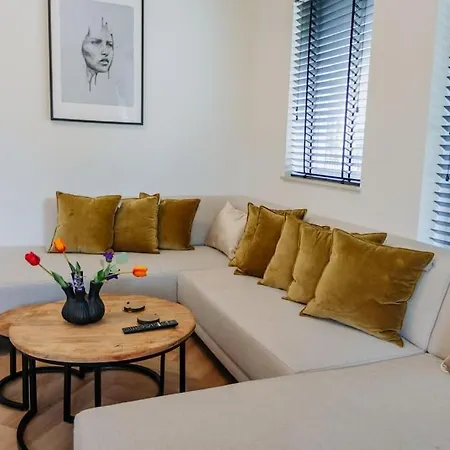 Brand new luxurious 6 bedroom villa in Amsterdam-3